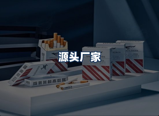 专业团队办公环境